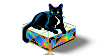 a black cat sitting on a colorful cube